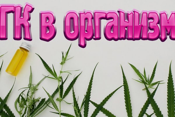 Кракен сайт как выглядит
