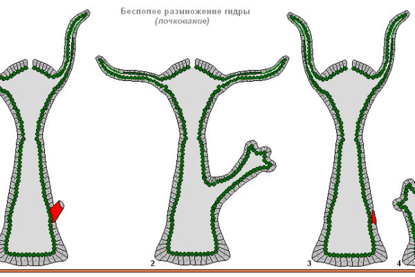 Зеркало kraken тор ссылка рабочее