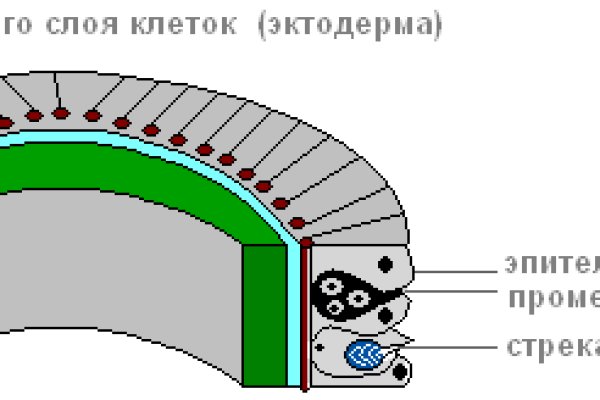 Кракен сайт официальный kraken014 com