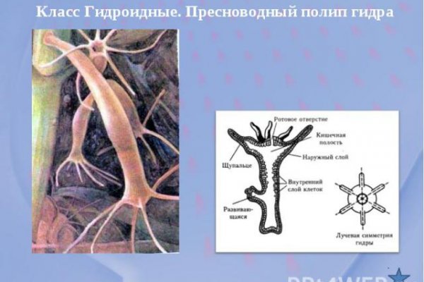 Как пополнить кошелек кракена